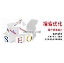 專業建站技術服務 構建數字化未來的基石