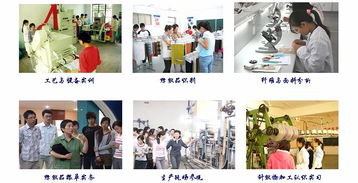 對外技術服務與培訓 提升企業核心競爭力的雙輪驅動