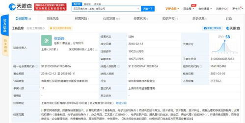深見網絡科技注銷，金拱門中國為大股東引發行業關注